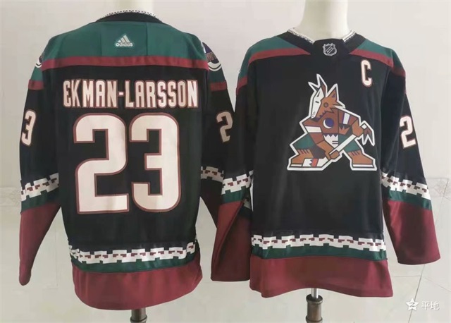 Phoenix Coyotes jerseys 2022-002